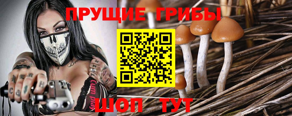 Галлюциногенные грибы Magic Shrooms Ртищево