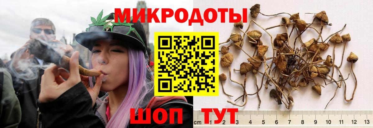 Ртищево  Галлюциногенные грибы прущие грибы  Вход с VPN 